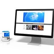 SEO Experts